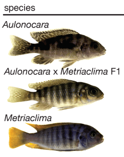 Screen Shot 2017-09-07 at 2.09.40 PM.png