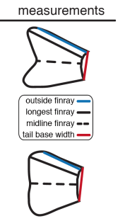 Screen Shot 2017-09-07 at 2.09.50 PM.png