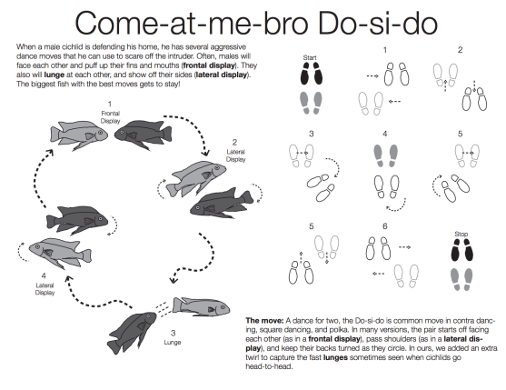 Screen Shot 2017-09-07 at 4.25.11 PM.png